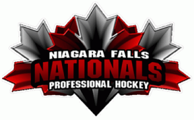Niagara Falls Nationals 2011 Primary Logo iron on heat transfer
